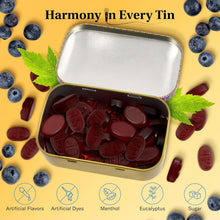 Load image into Gallery viewer, Grether's Blueberry Pastilles Sugarfree 110g
