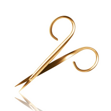 Load image into Gallery viewer, Rubis Scissors Colibri' Gold - 1F006
