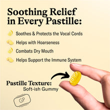 Load image into Gallery viewer, Grether's Ginger Lemon Pastilles Sugar-free 110g
