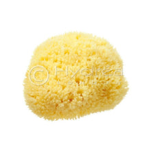 Load image into Gallery viewer, Hydrea London - Natural Sea Sponge Premium Honeycomb Sea Sponge - 2-2.5&quot;
