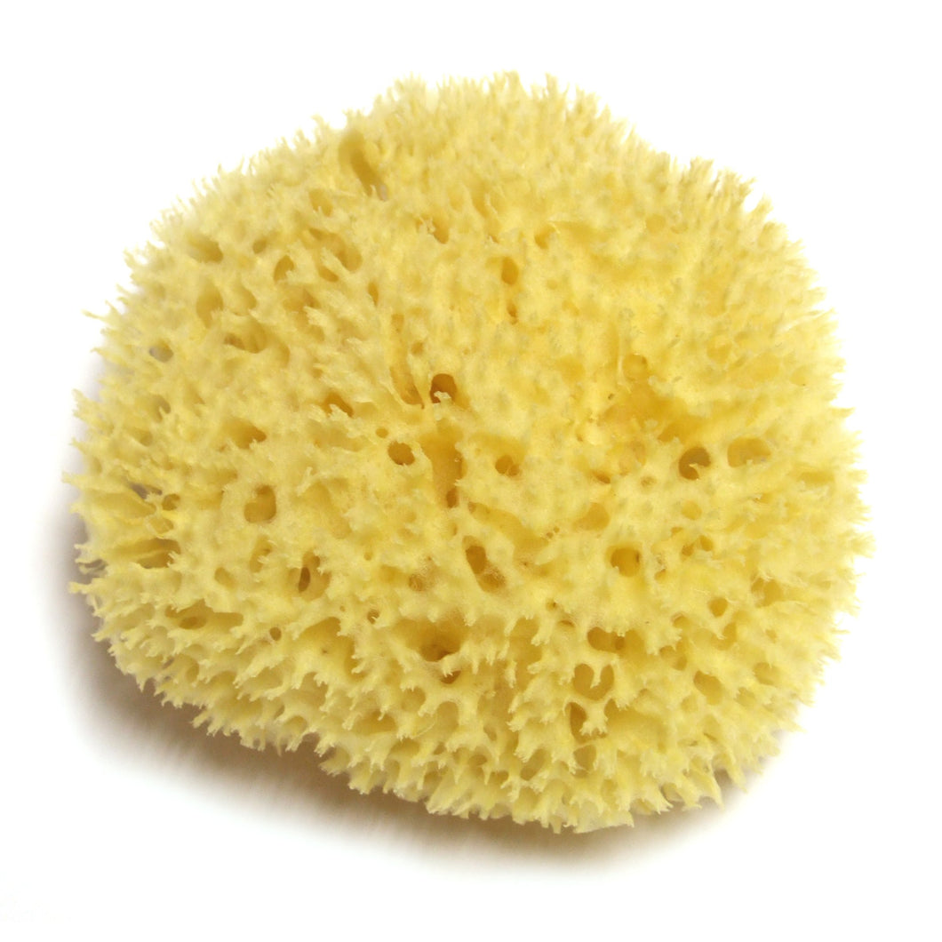 Hydrea London - Natural Sea Sponge Premium Honeycomb